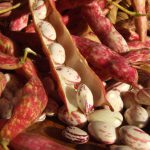 Fagiolo-di-Lamon-della-Vallata-Bellunese-I.G.P._122