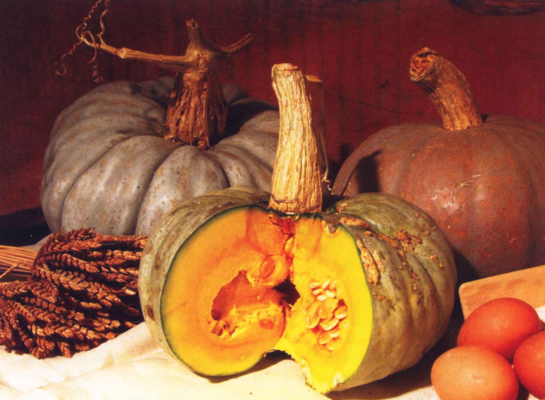 Zucca-Santa_125