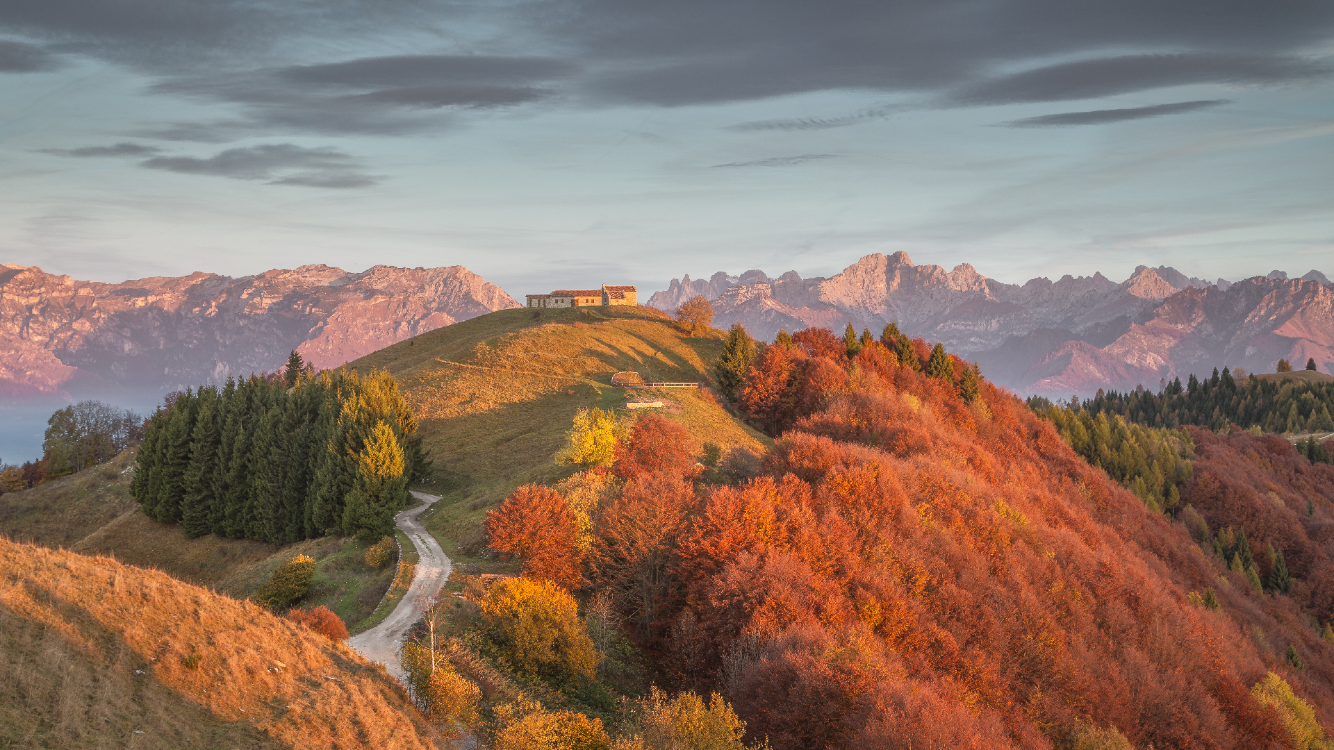 trekking_foliage